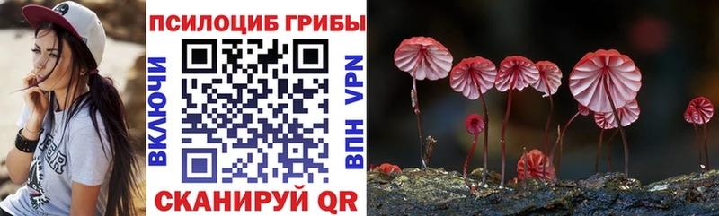Псилоцибиновые грибы мухоморы  Салехард 