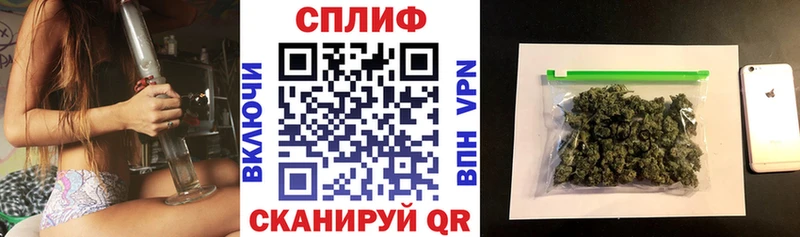 где можно купить наркотик  Салехард  Бошки марихуана SATIVA & INDICA 
